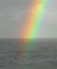 rainbow 5.jpg
