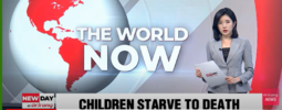 children dying of starving in Palestine.png
