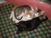 DSC01080.JPG