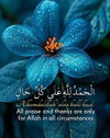 1781880576475.png
