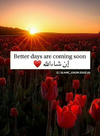 1787316201502.png