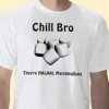 halaal_marshmallows_shirt-p235258943958280931acj8_210.jpg