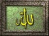 Name_of_Allah_swt_-_Islamic_Calligraphy_118_.jpg