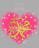 The Prophet Muhammad s.a.w.gif