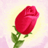rose1.gif