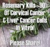 ~Rosemary-Kills-Cervical-Cancer-Liver-Cancer-Cells-In-Vitro (2).jpg