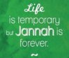Life is temporary Jannah is forever.jpg