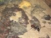 343018-Biggest-ant-in-the-world-0.jpg