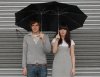 twin umbrella.jpg