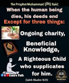 1786707499737.png